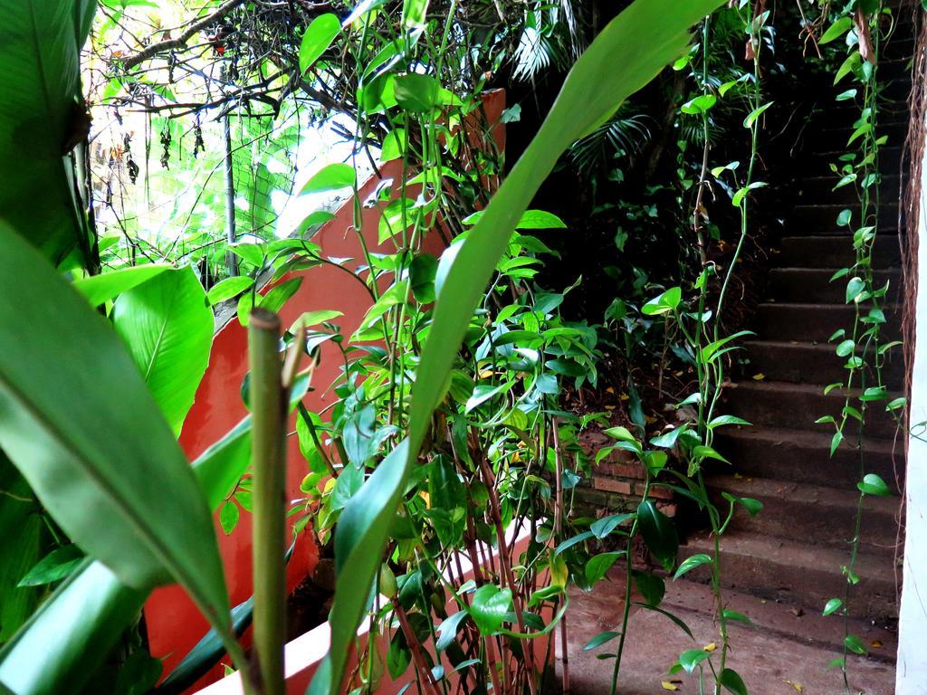 Para Ti Guesthouse Rio de Janeiro Exterior foto